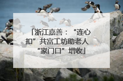 浙江嘉善：“连心扣”共富工坊助老人“家门口”增收